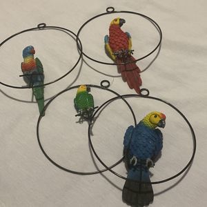 Parrots 🦜